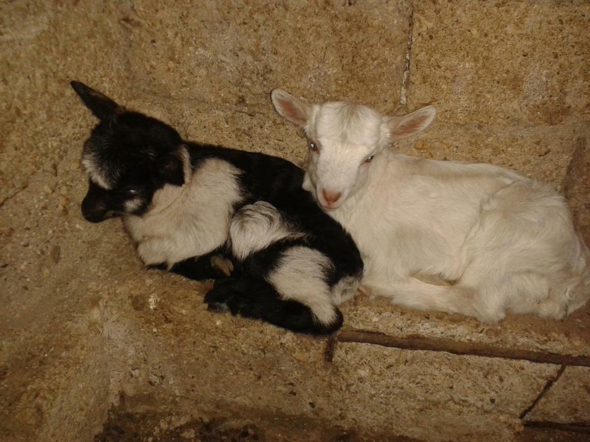 Agrotourism Himara Ξενοδοχείο Εξωτερικό φωτογραφία
