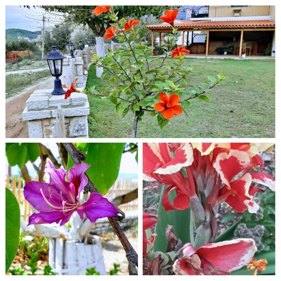 Agrotourism Himara Ξενοδοχείο Εξωτερικό φωτογραφία