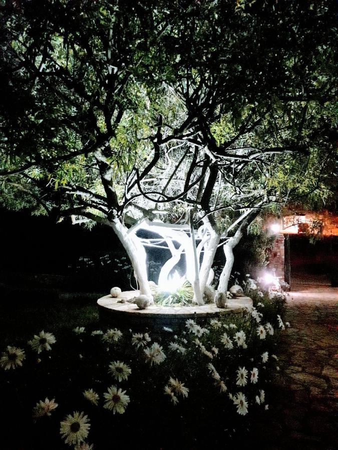 Agrotourism Himara Ξενοδοχείο Εξωτερικό φωτογραφία